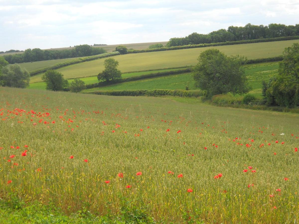 Far Hill Cottage Wyck Rissington Esterno foto